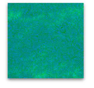 0GS4L5XC4%5B_2~5A0VRM%5BZ%60A.png
